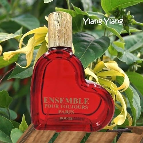 Ensemble Pour Toujours Paris Rouge Pour Femme Eau de Parfum 3.4 fl.oz